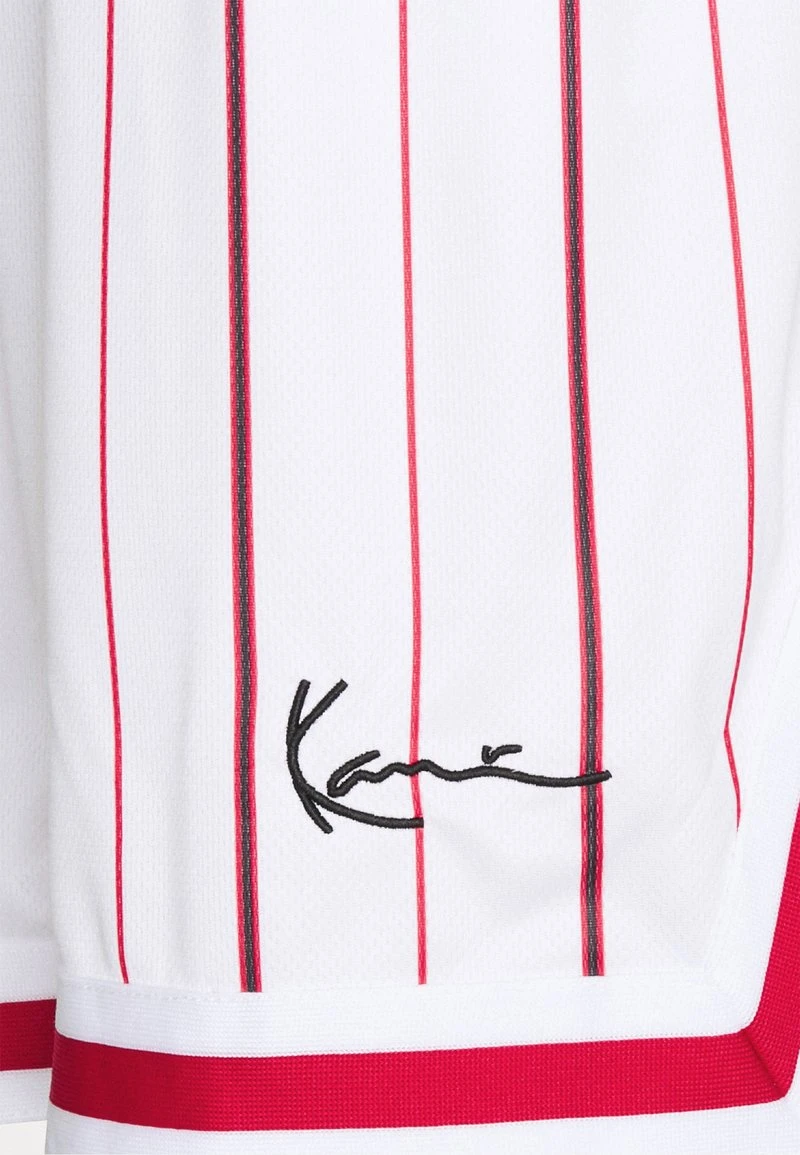 Auslauf 🤩 Karl Kani SMALL SIGNATURE PINSTRIPE - Shorts - White, Herren ❤️ 8 Auslauf 🤩 Karl Kani SMALL SIGNATURE PINSTRIPE - Shorts - White, Herren ❤️ – Bild 6