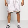 Coupon 🎁 Karl Kani SMALL SIGNATURE PINSTRIPE - Shorts - White, Herren ✨